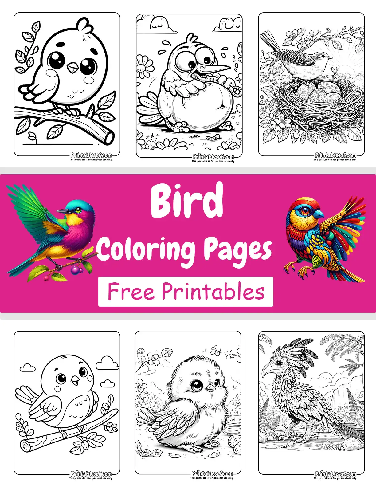 Bird Coloring Pages - Free PDF Download - Printablesof